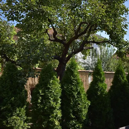 Konukevi Garavi Sokak Kursumlija